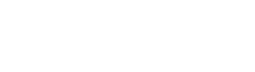Flamingo Investment Group logo